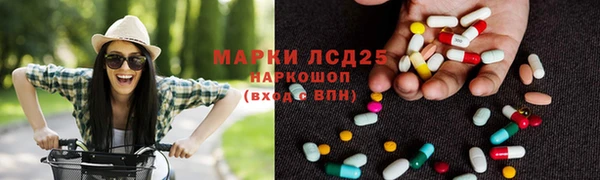 сатива Бронницы