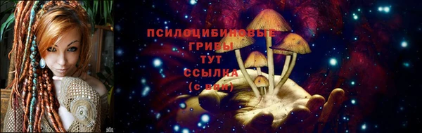 mdpv Богородицк