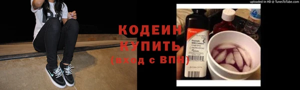 прущие грибы Бородино
