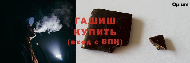 прущие грибы Бородино