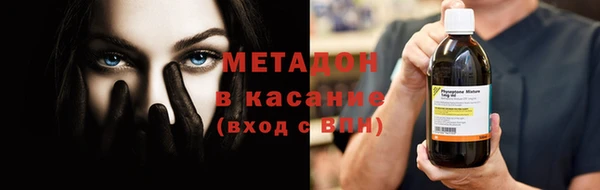 прущие грибы Бородино