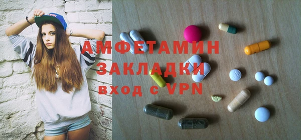 прущие грибы Бородино