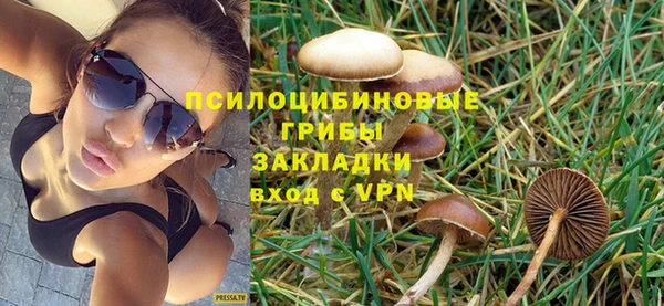 прущие грибы Бородино