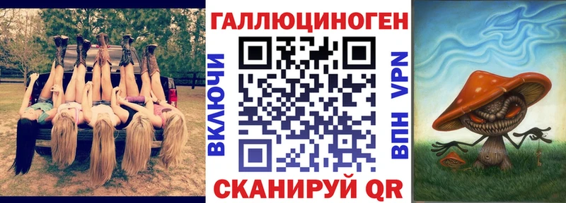 закладка  Ессентукская  Псилоцибиновые грибы Cubensis 